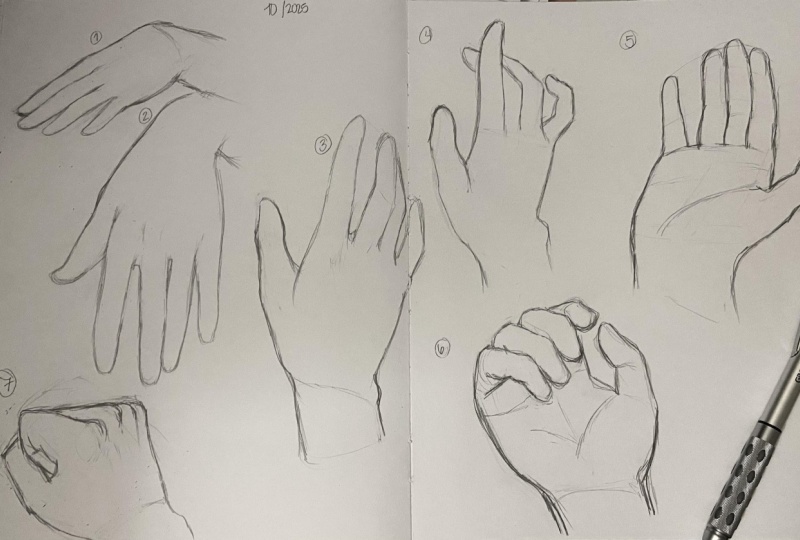 Hand Sketches