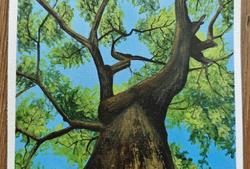 First attempt with acrylics