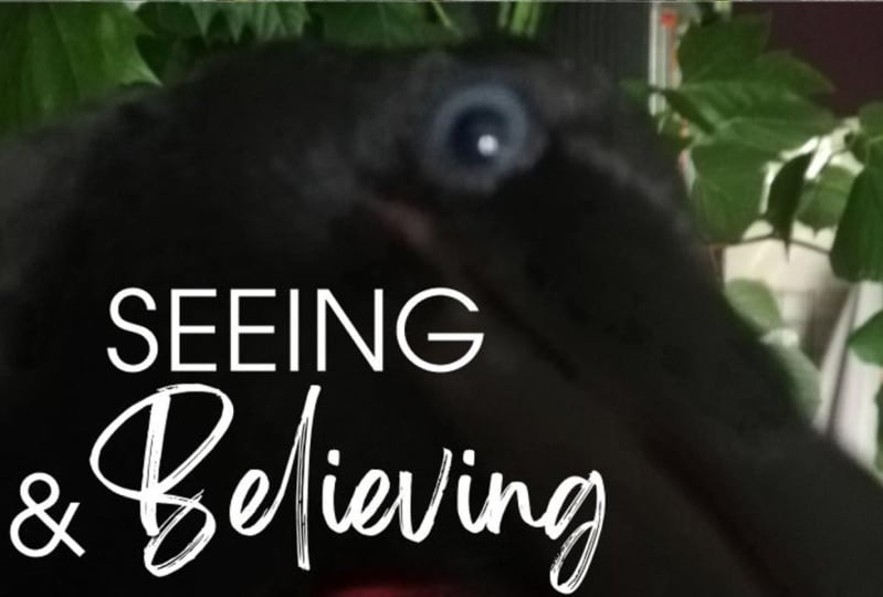 Seeing & Believing