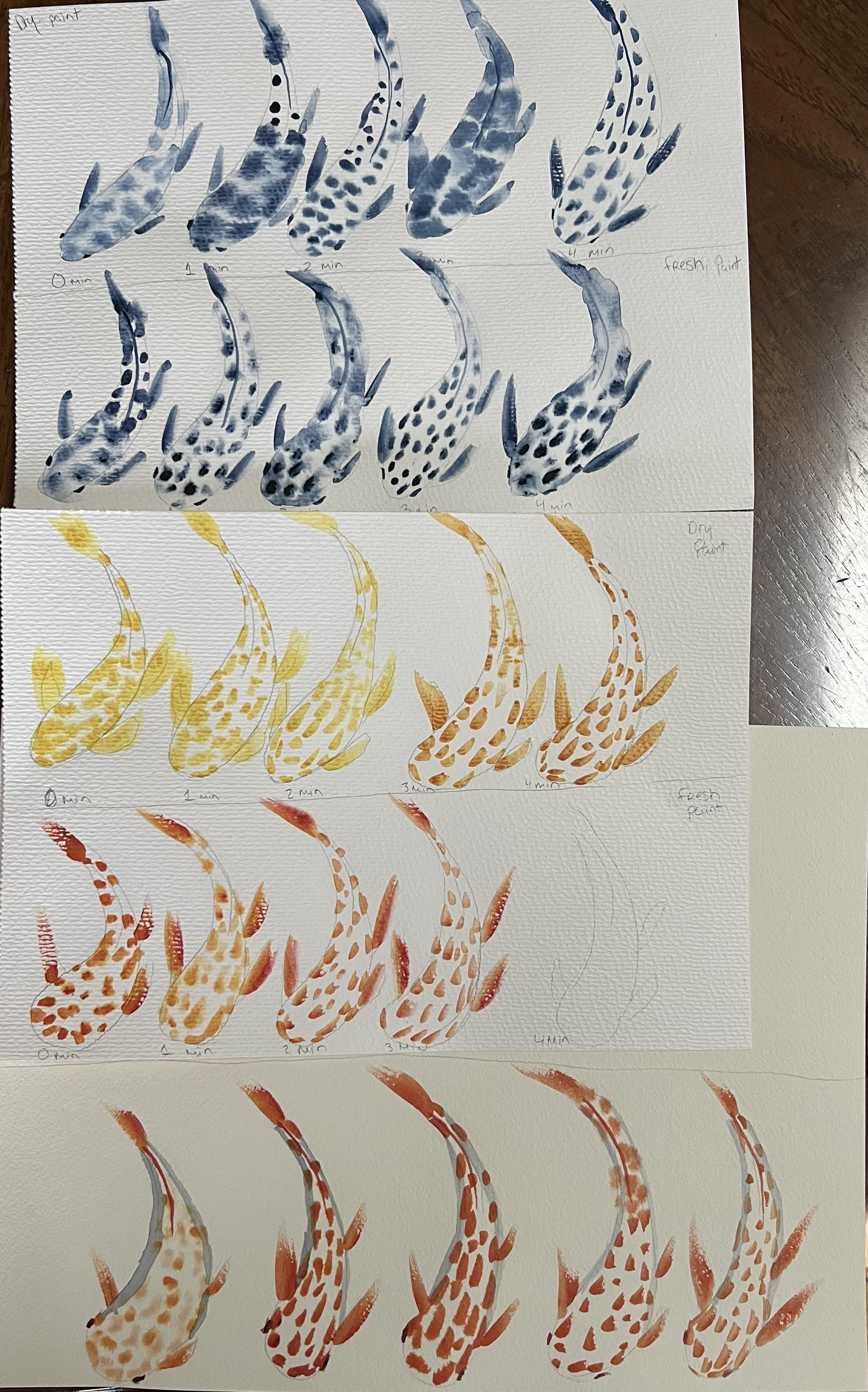 more-projects-from-class-img