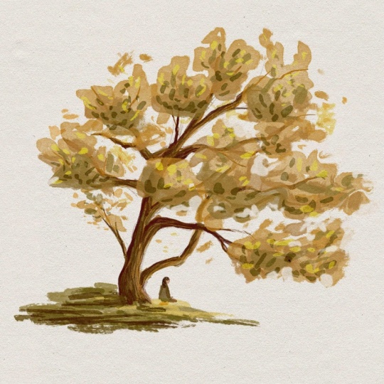 MY TREE