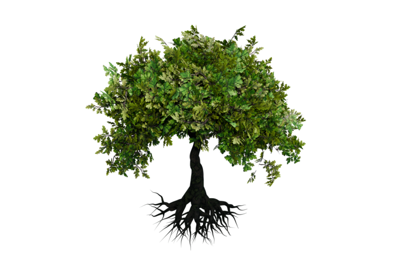 Procedural 3D Tree with Geometry Nodes
