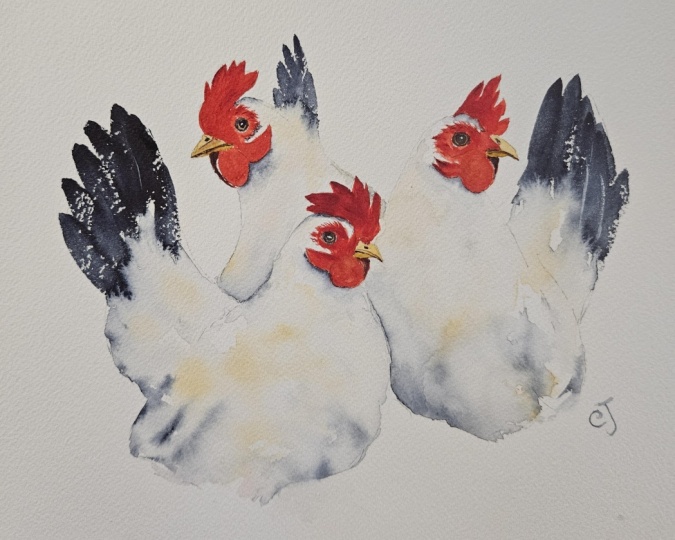 Happy Chickens