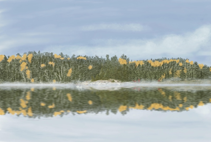 New Reflections on a Swan Song!