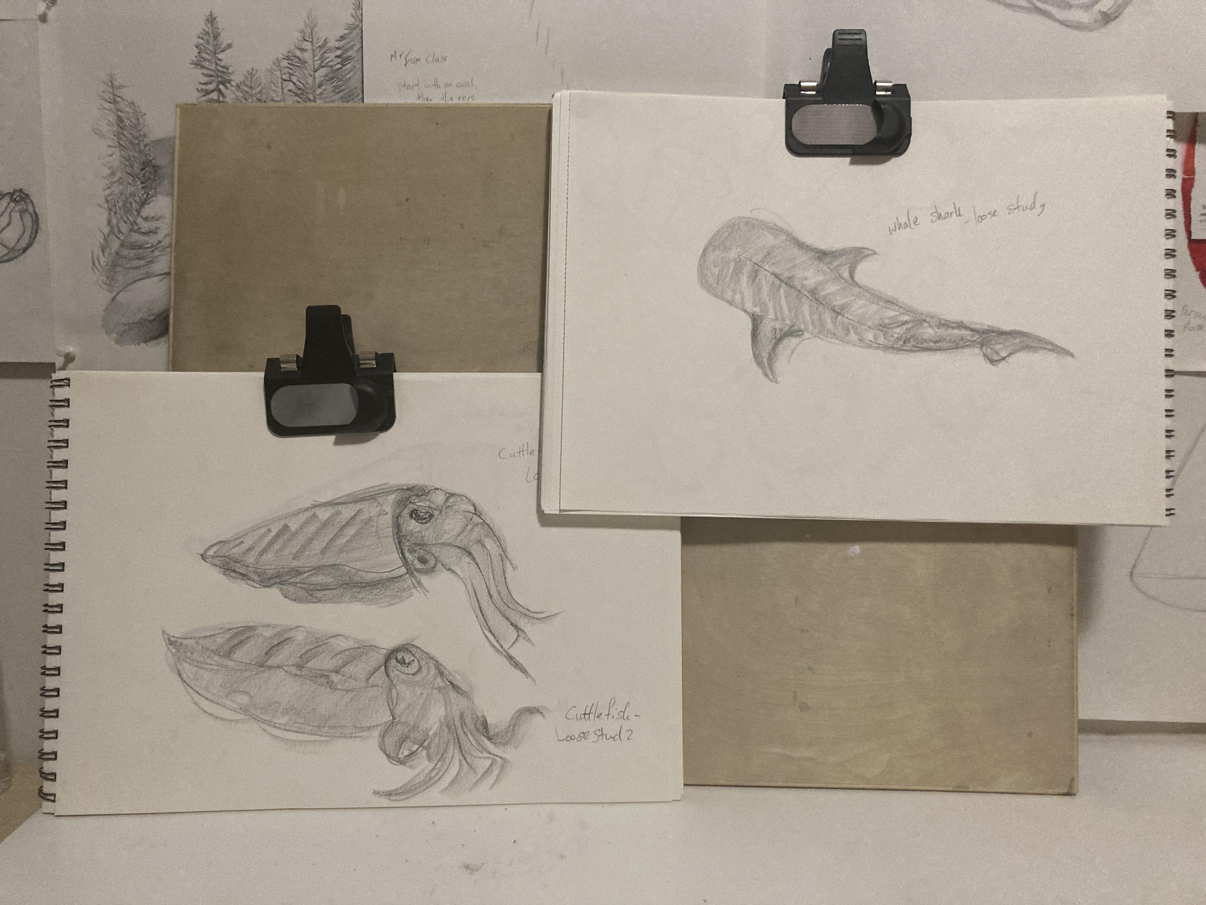 more-projects-from-class-img