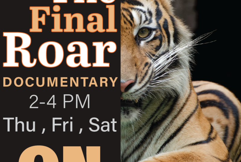 The Final Roar