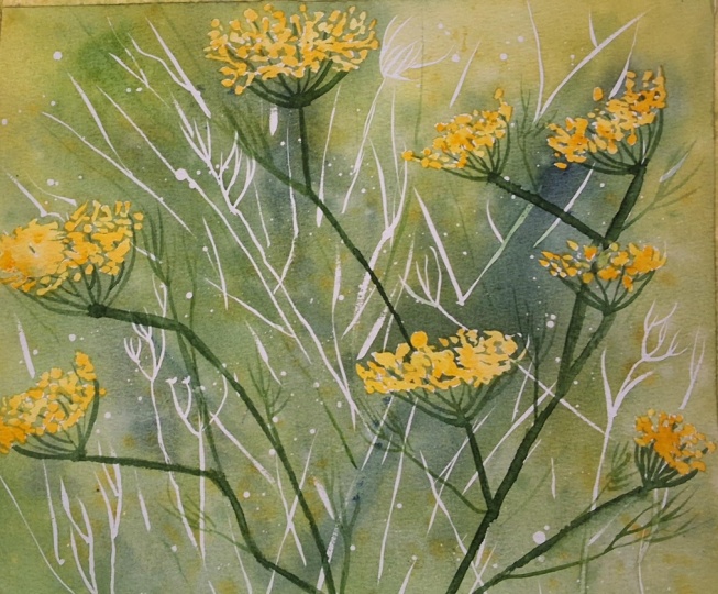 Wild fennel