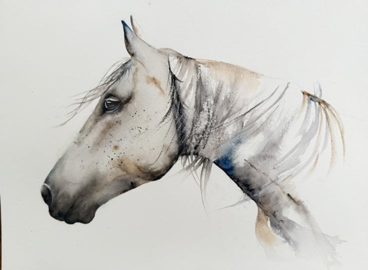 Italian Horse
