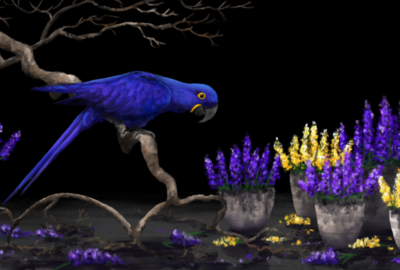 Hyacinth Artwork
