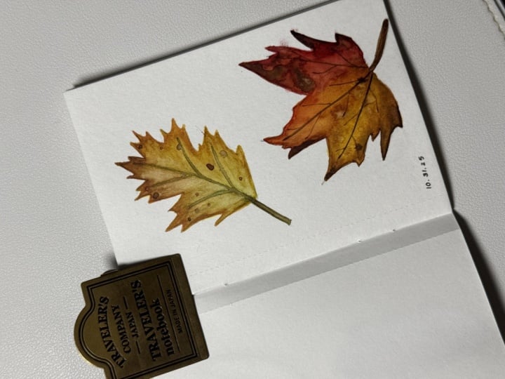 Autumn leaves