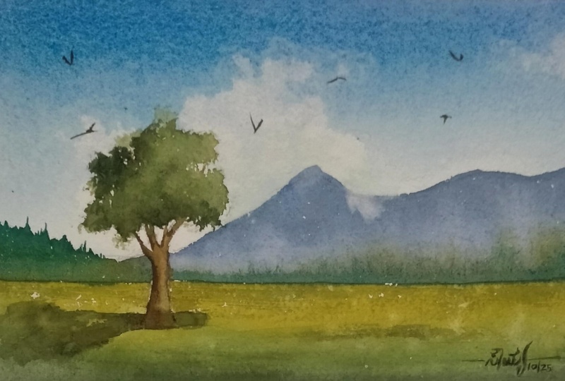 landscape before and after