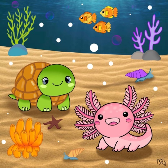 Axolotl and turtle
