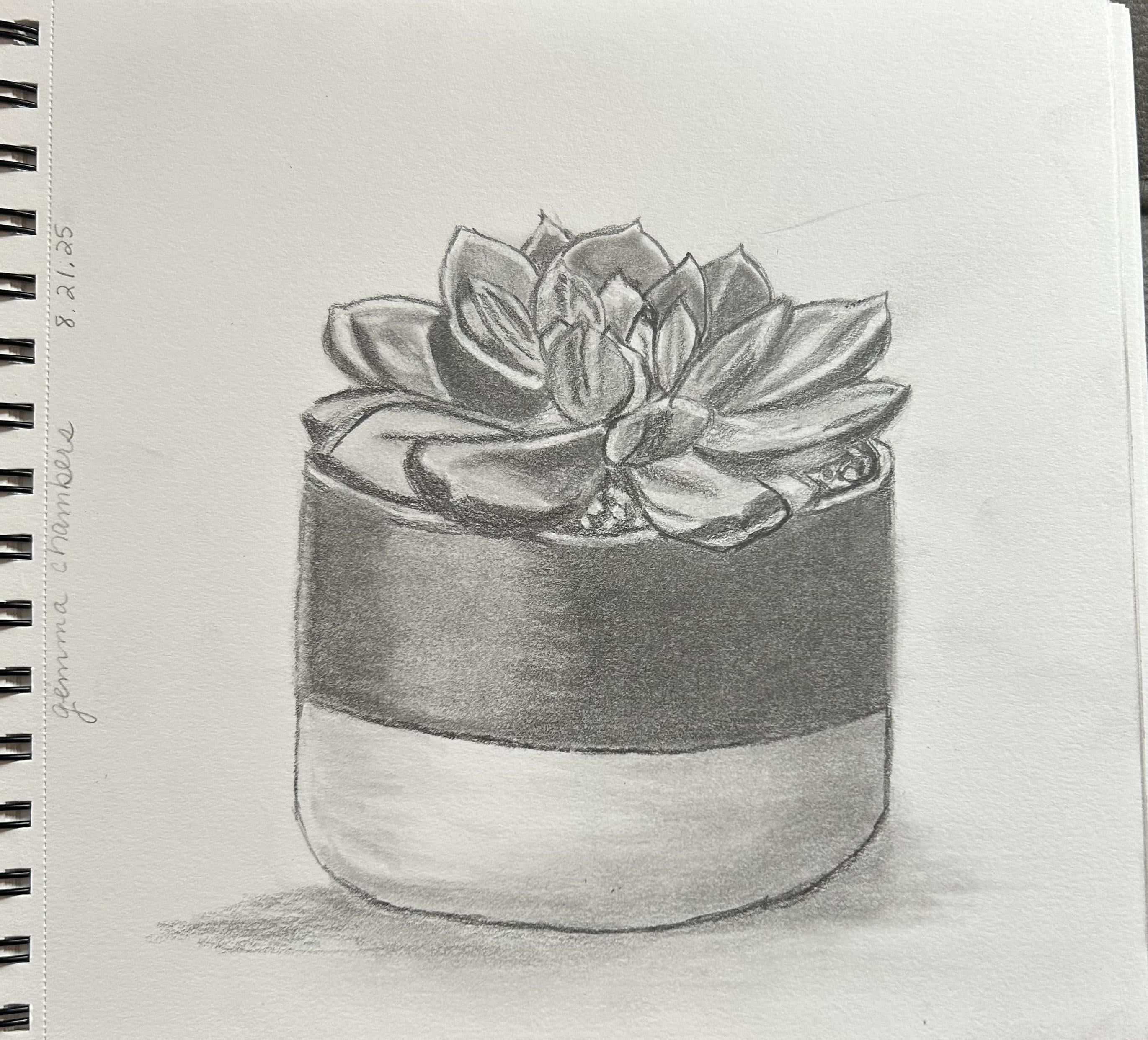 more-projects-from-class-img