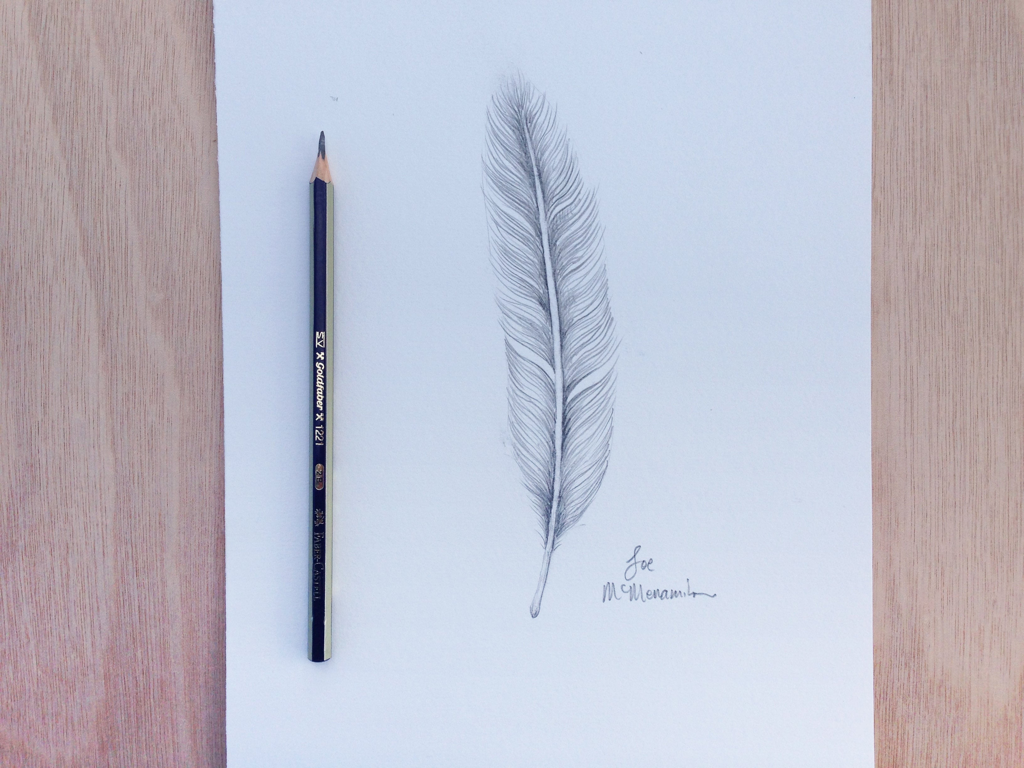 Drawing of a feather - student project