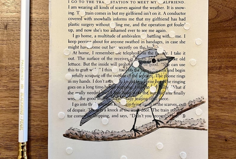 Blue tit in the snow