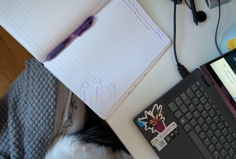 Sipping morning coffee, sitting with my best friend, and journaling