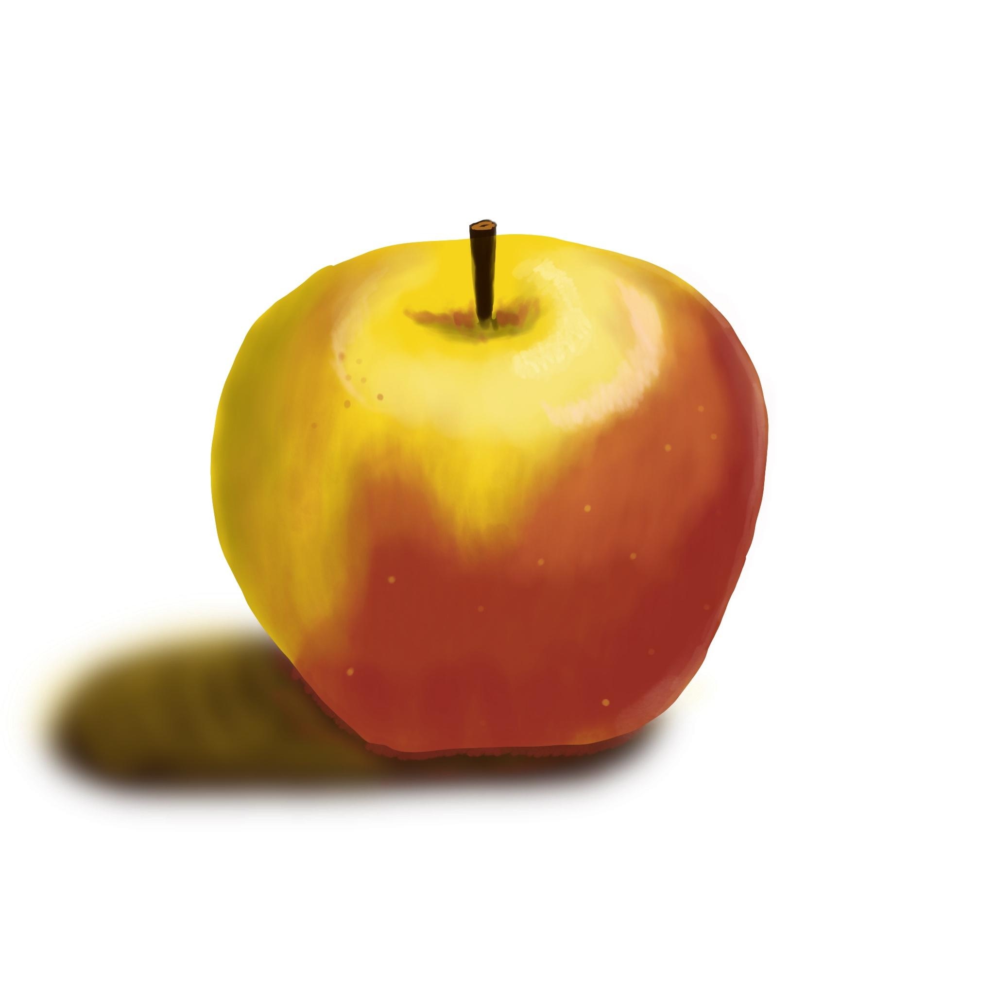 more-projects-from-class-img