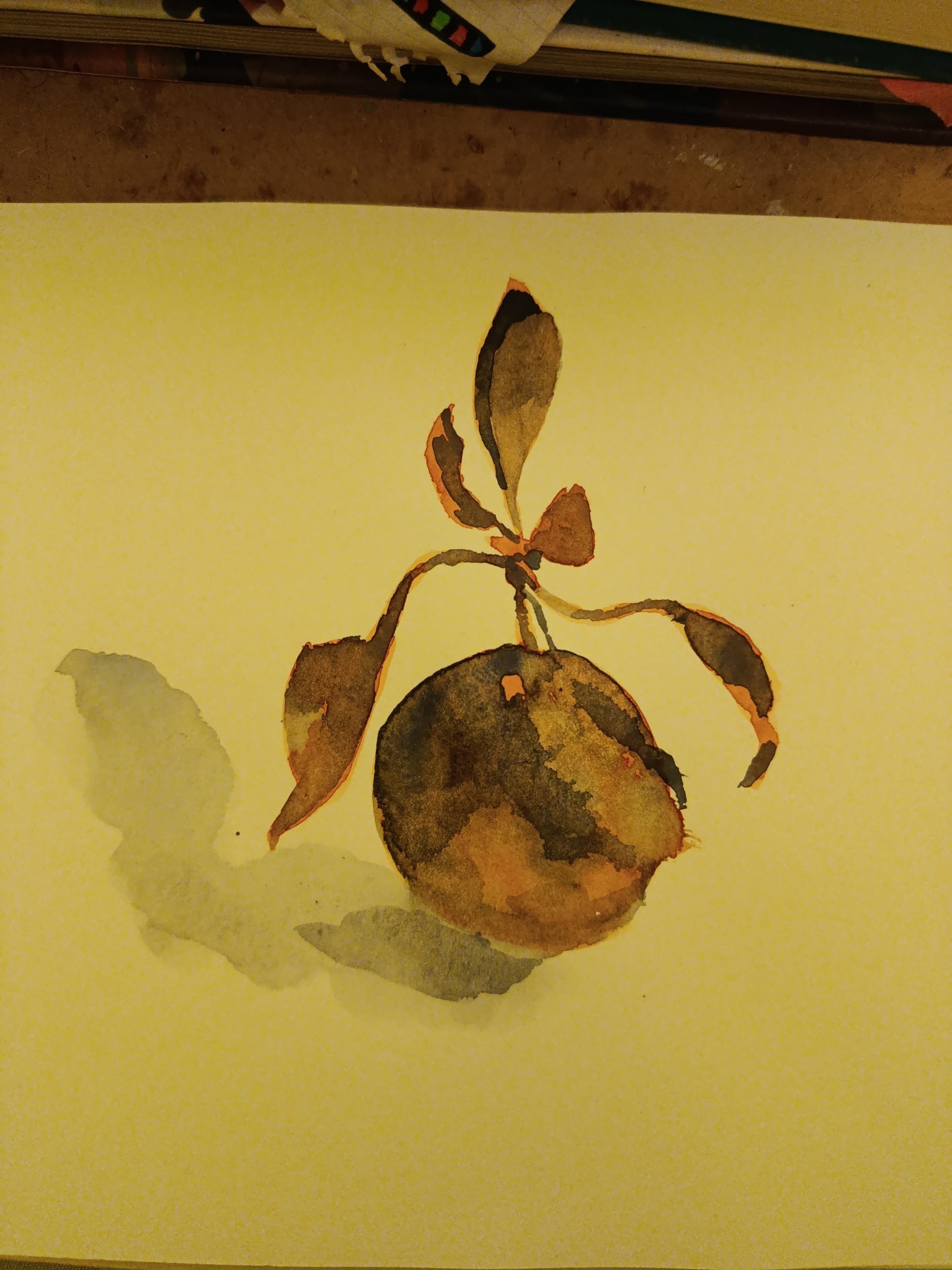 more-projects-from-class-img