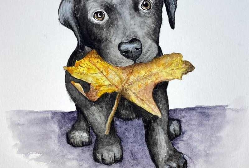 Puppy with Leaf.