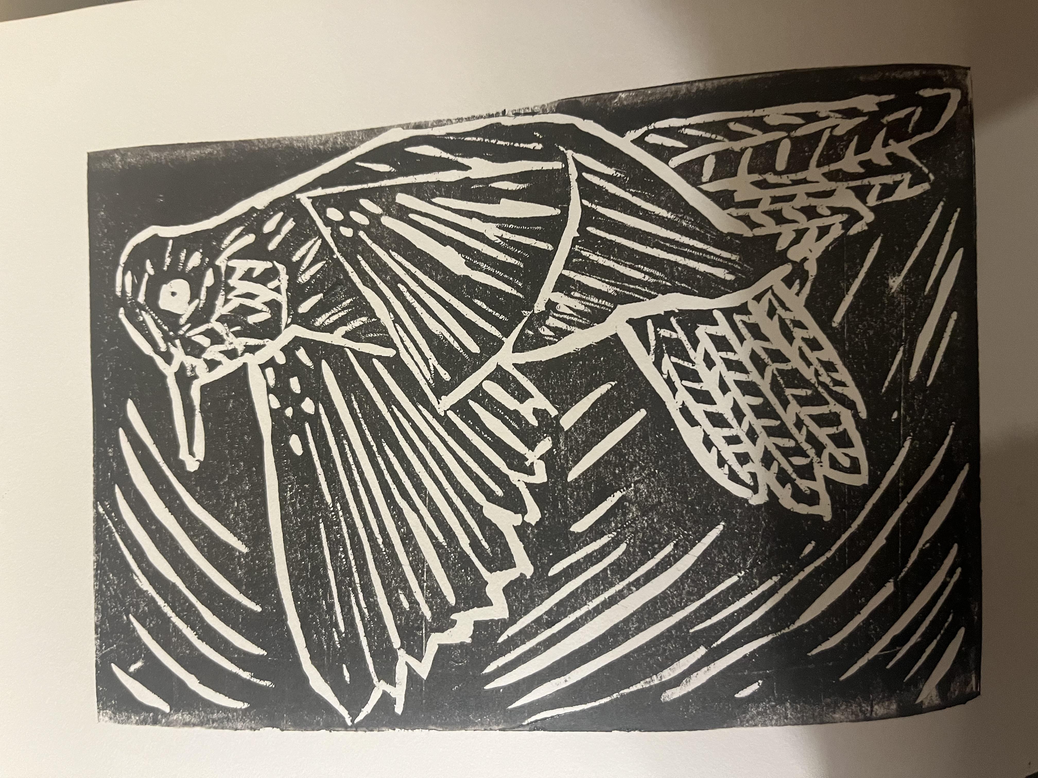 more-projects-from-class-img