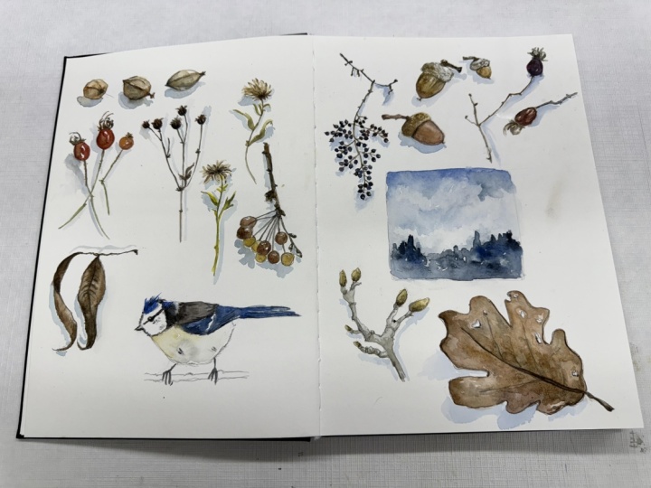 14 Day Sketchbook Practice