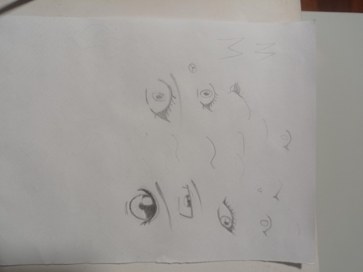 The Eye Basics