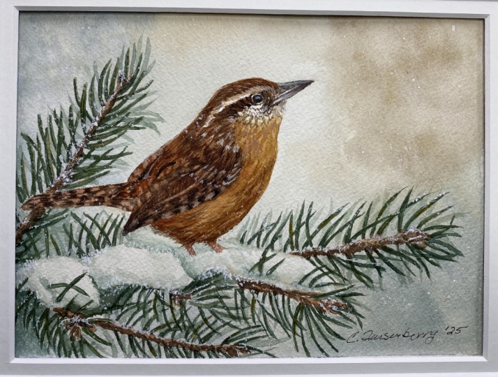 Christmas Wren