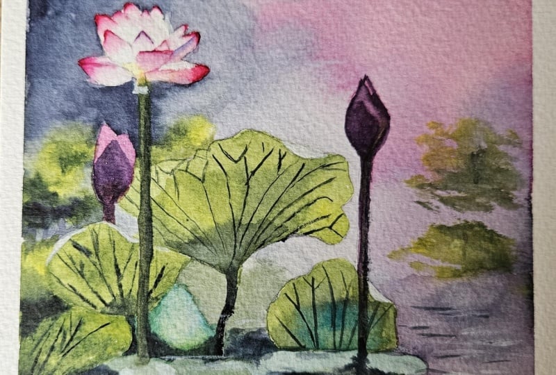 Dreamy lotus lake