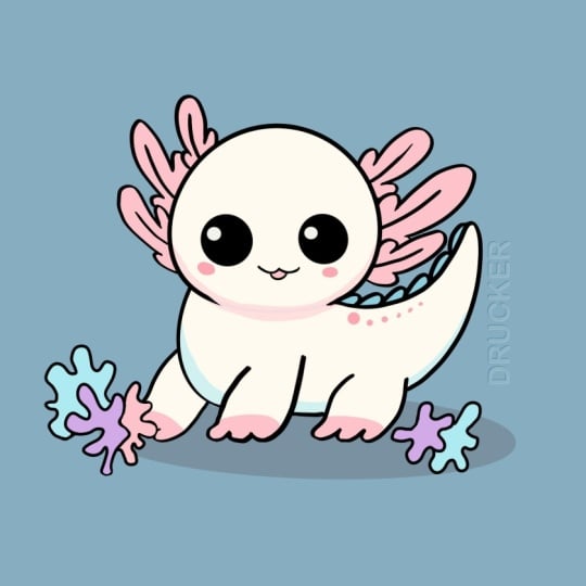 Uni Axolotie