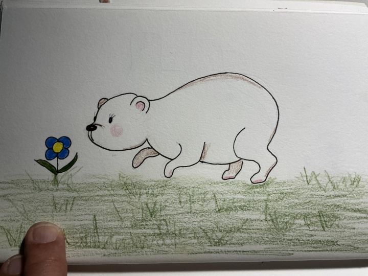Little bear