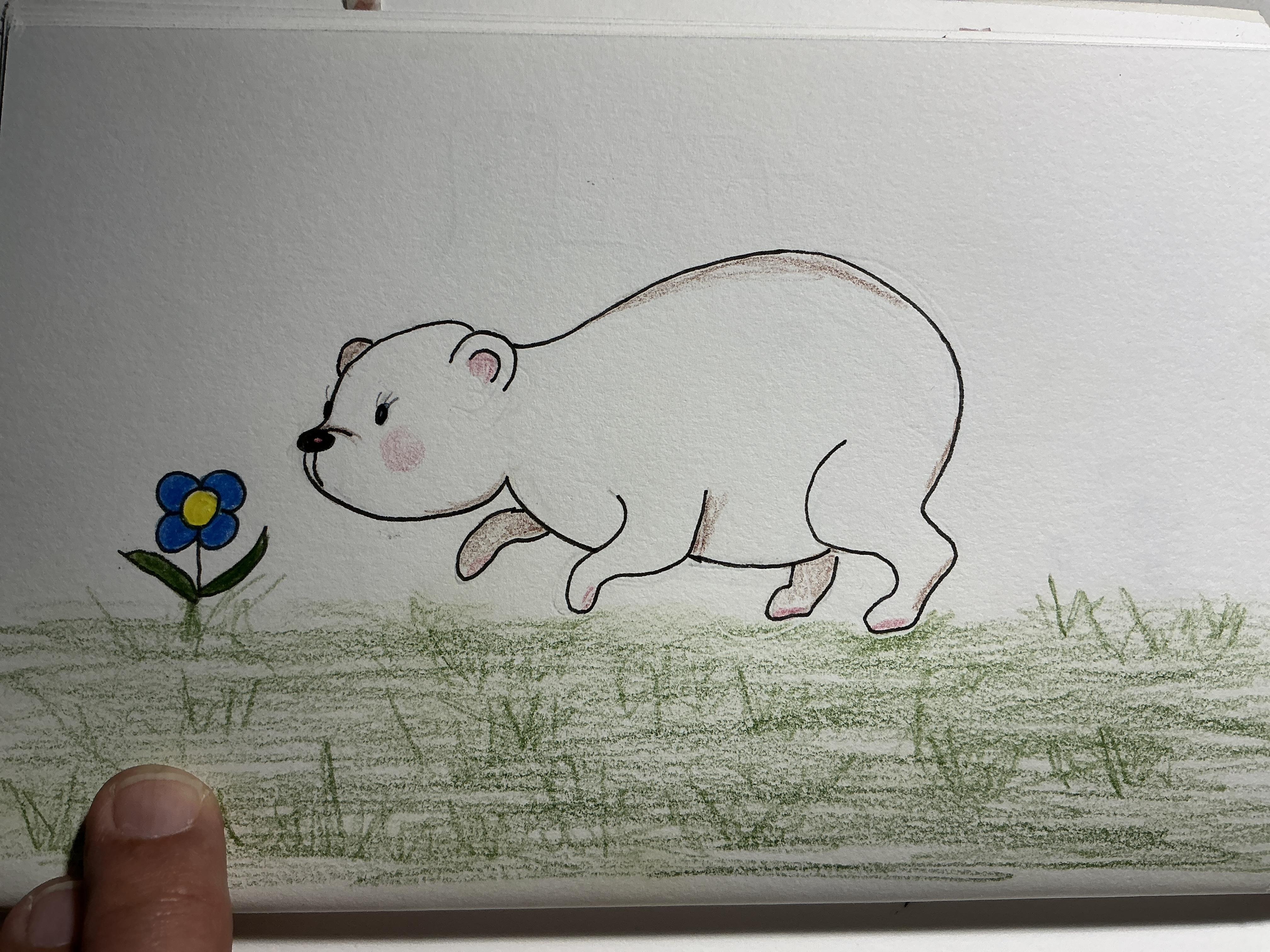 Como desenhar 7 poses fofas de ursos | Agnes De Bezenac | Skillshare, image size:4032x3024