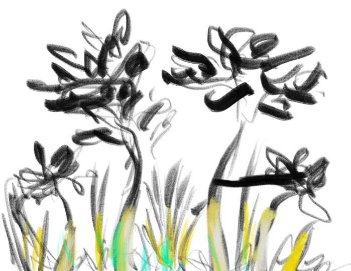 Composition Practice