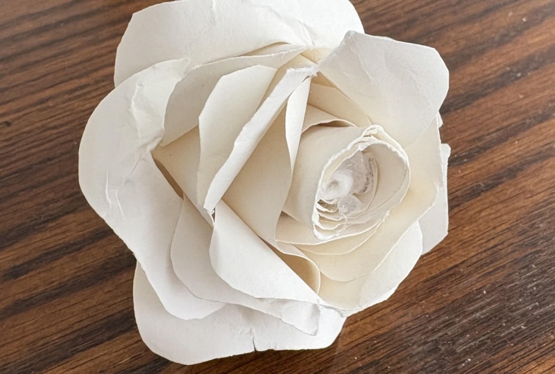 Paper Rose
