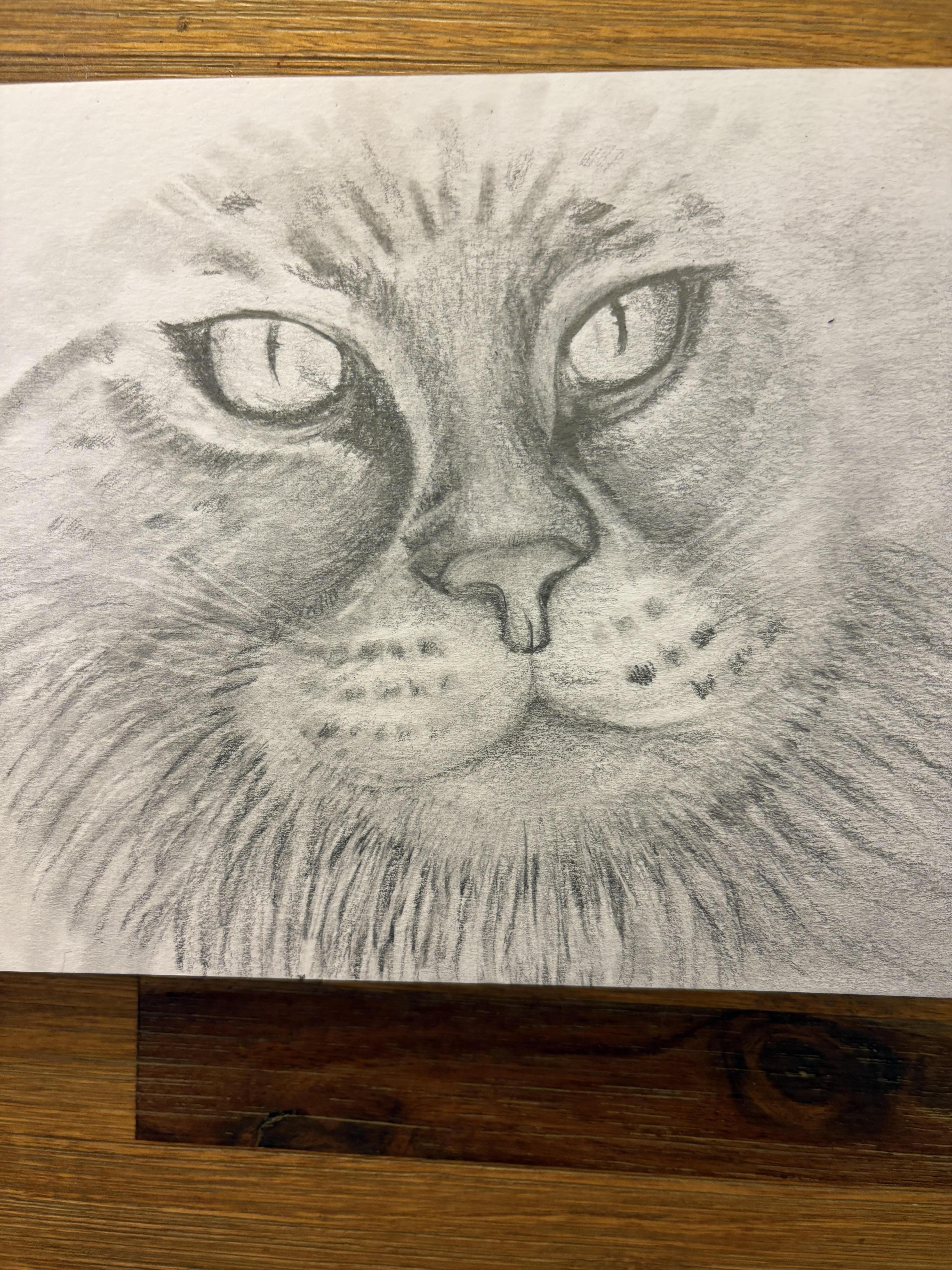 more-projects-from-class-img