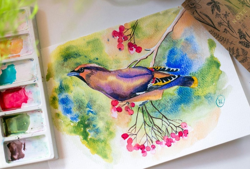 Bohemian Waxwing