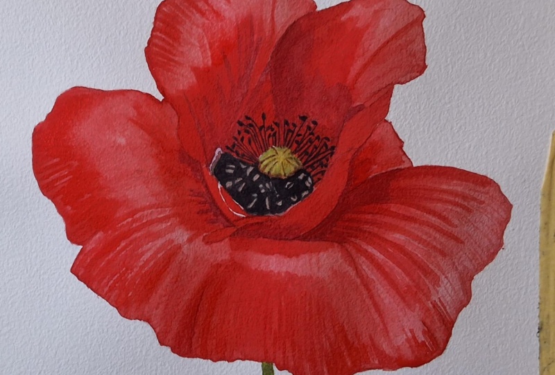 4 step method  to realistic watercolor