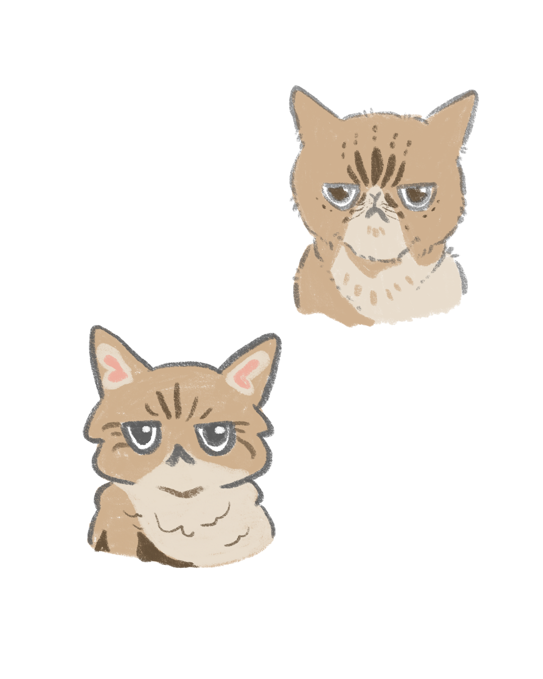 more-projects-from-class-img