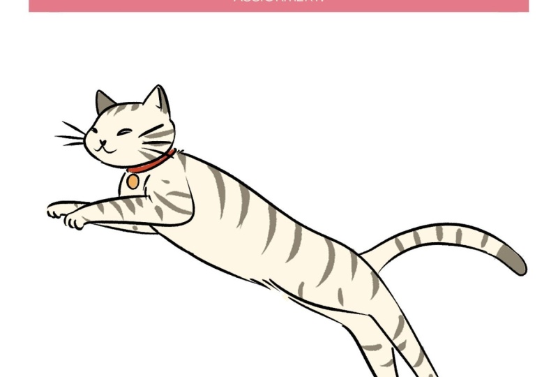 My Cute Jumping Cat!