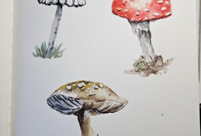 Mushrooms with markers