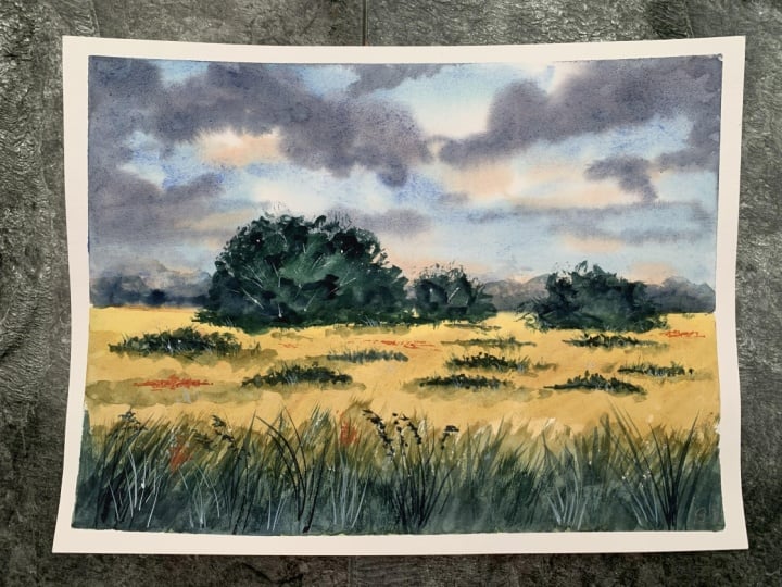 Loose, impressionistic landscapes
