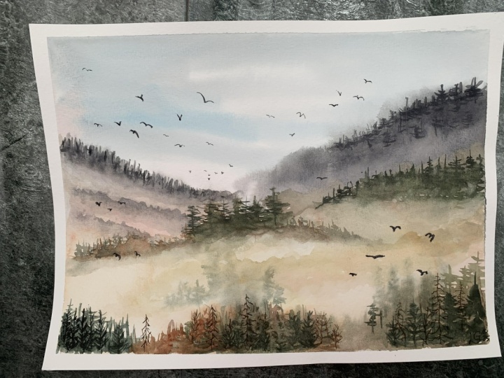 Misty Forest