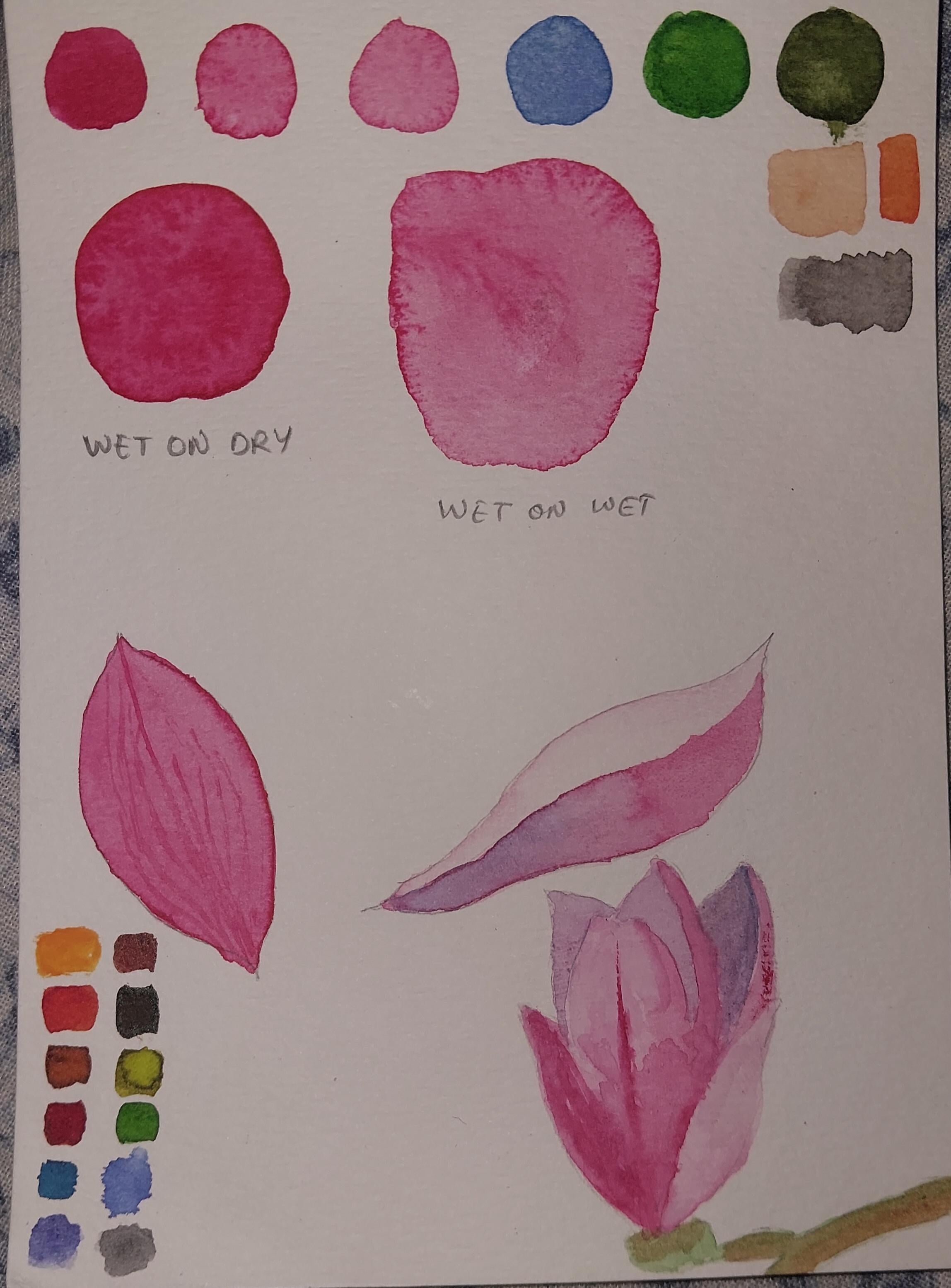 more-projects-from-class-img
