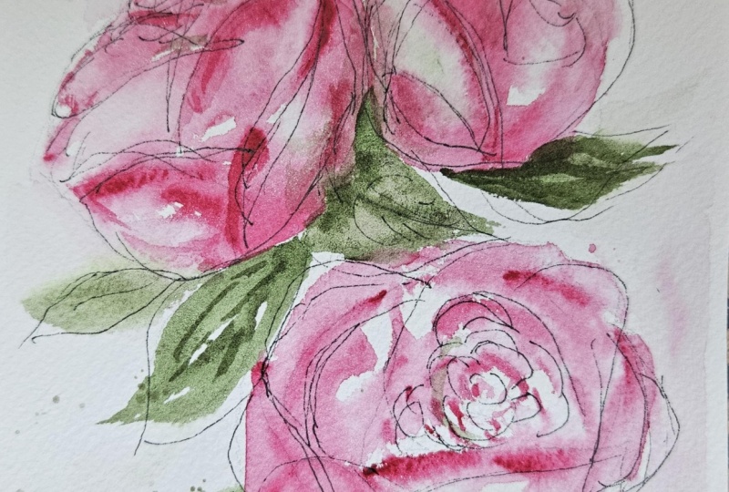 Peony roses wc and line