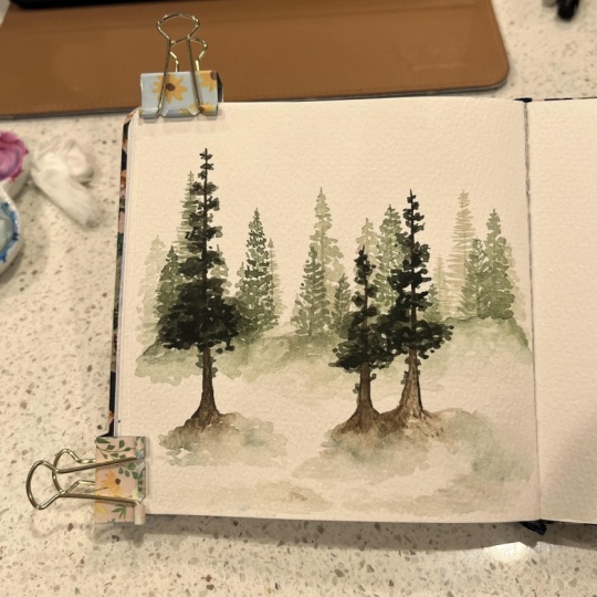 Pines trees