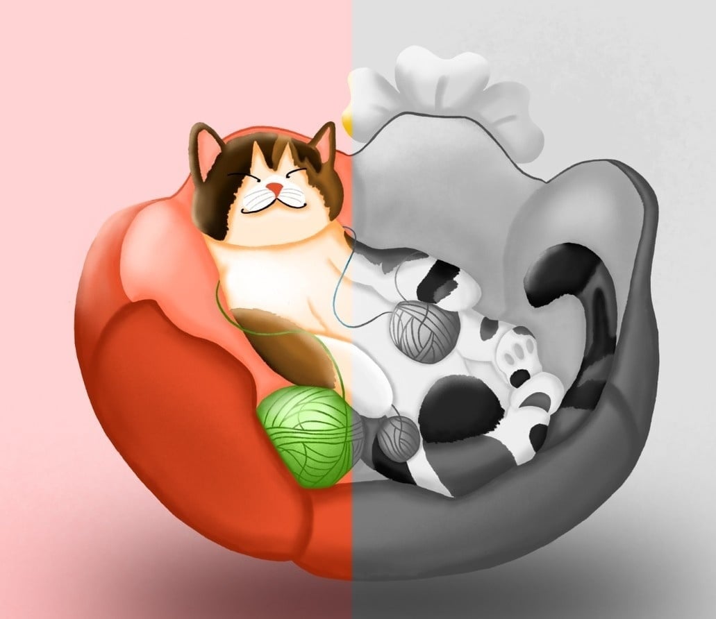 more-projects-from-class-img
