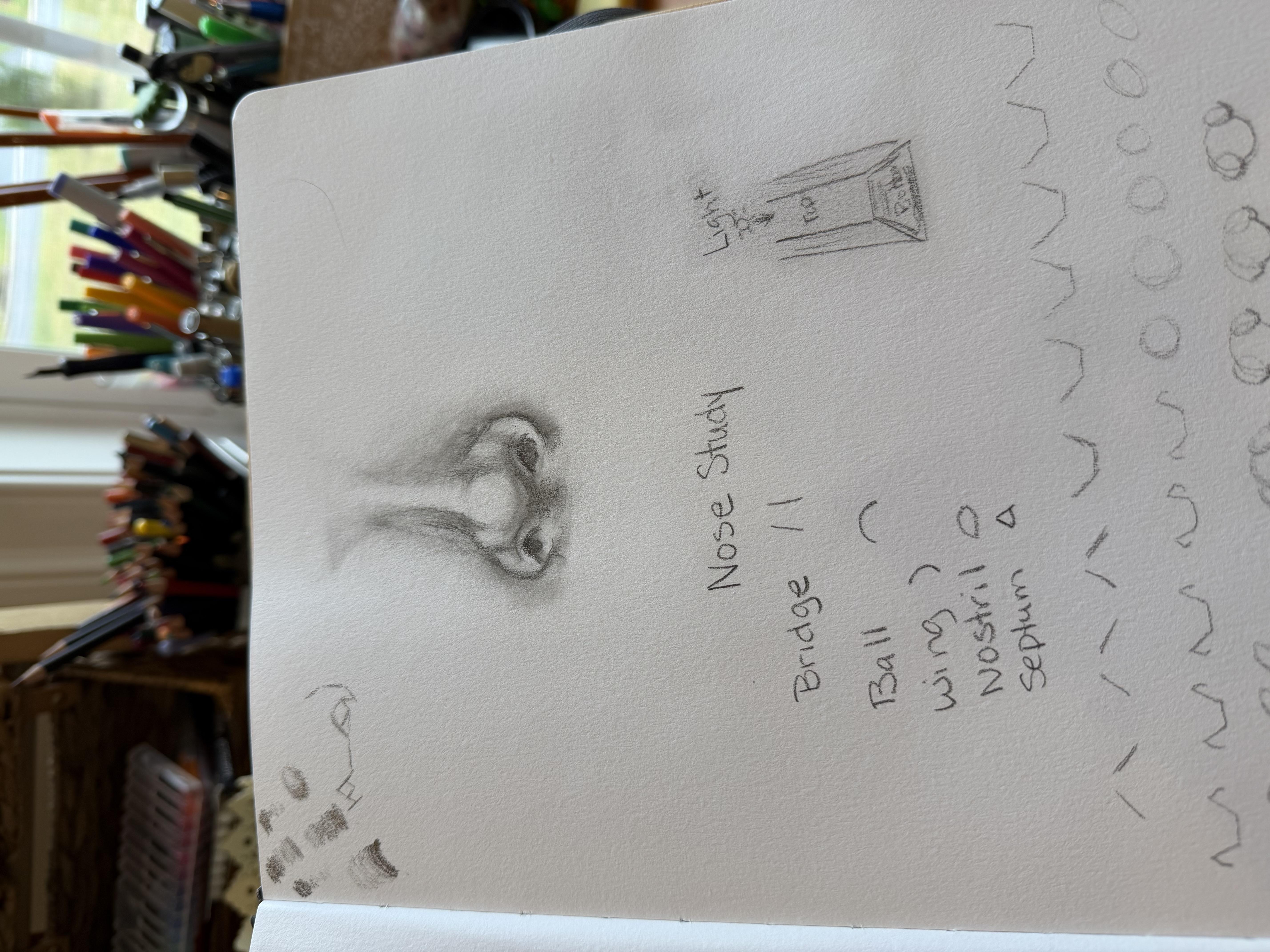 more-projects-from-class-img