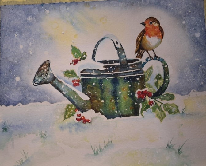 Robin in winter  snow
