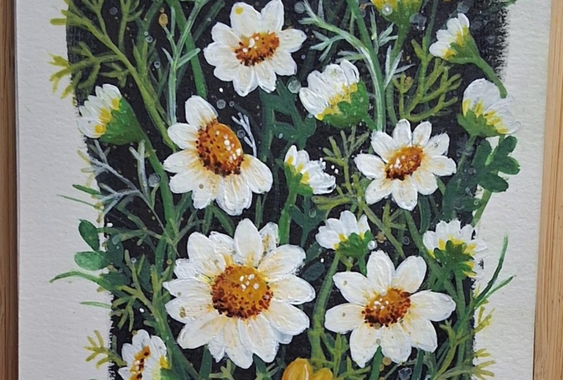 GOUACHE DAISIES
