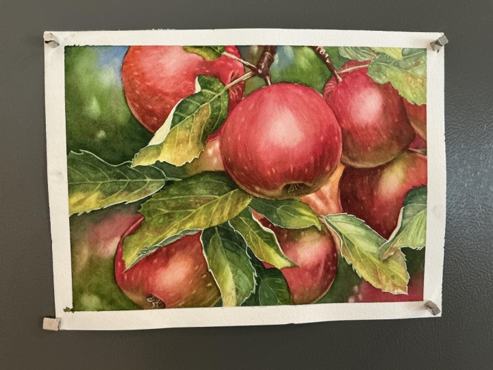 Chris’ Apples