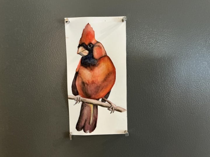 Cardinal